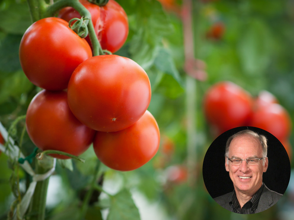 062: How Your Church Can Identify New Mission Workers