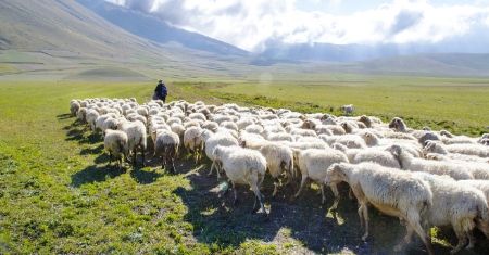 125: 10 Key Ideas for Pastoral Leadership in Missions