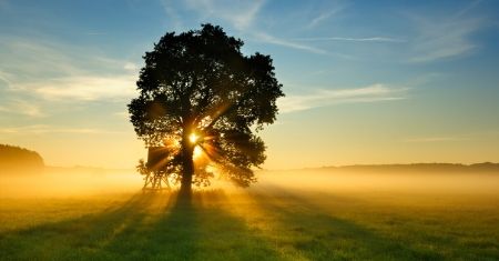 185: Missions Foundations: Spiritual Equipping for Fruitful Ministry – Encore Episode