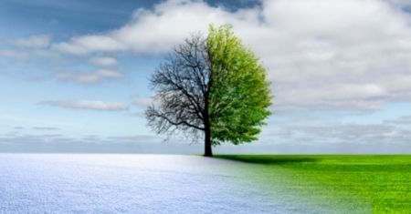 180: Advice for Cross-Cultural Workers to Navigate Transition