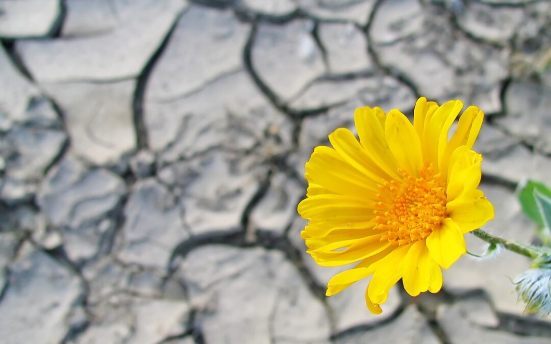 207: Developing Resilience as Goers and Senders