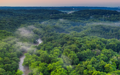 247: The Church-Wide Calling of Member Care – Thomas and Hanni