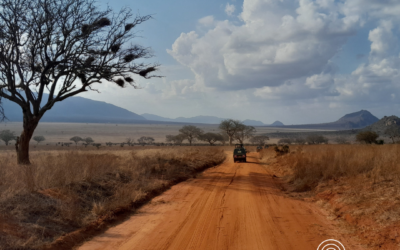 249:   Good News from the Field: East Africa with Dave Coles